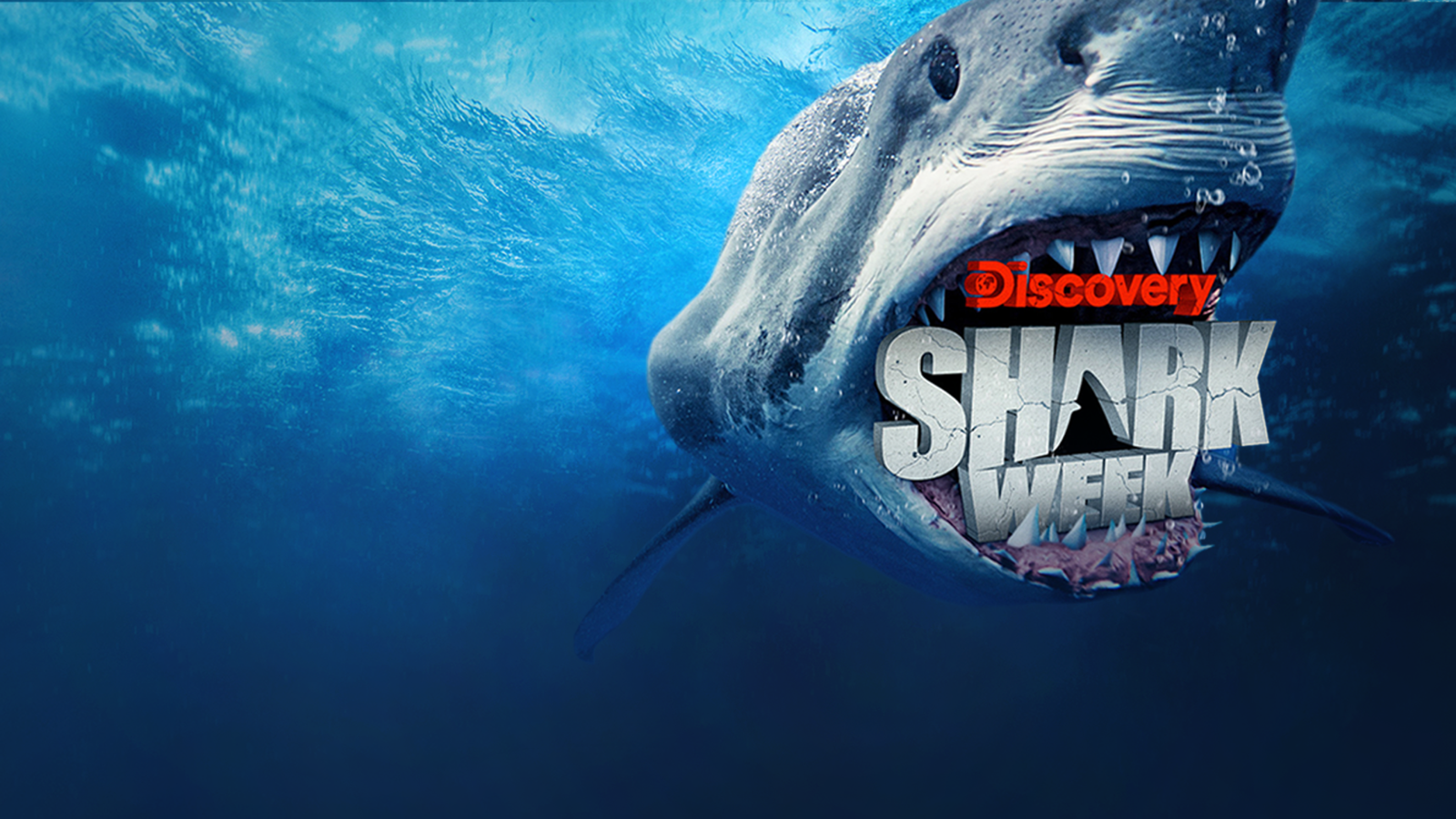 JASON MOMOA TO HOST DISCOVERY CHANNEL'S SHARK WEEK BEGINNING SUNDAY, JULY  23 AT 8PM ET/PT