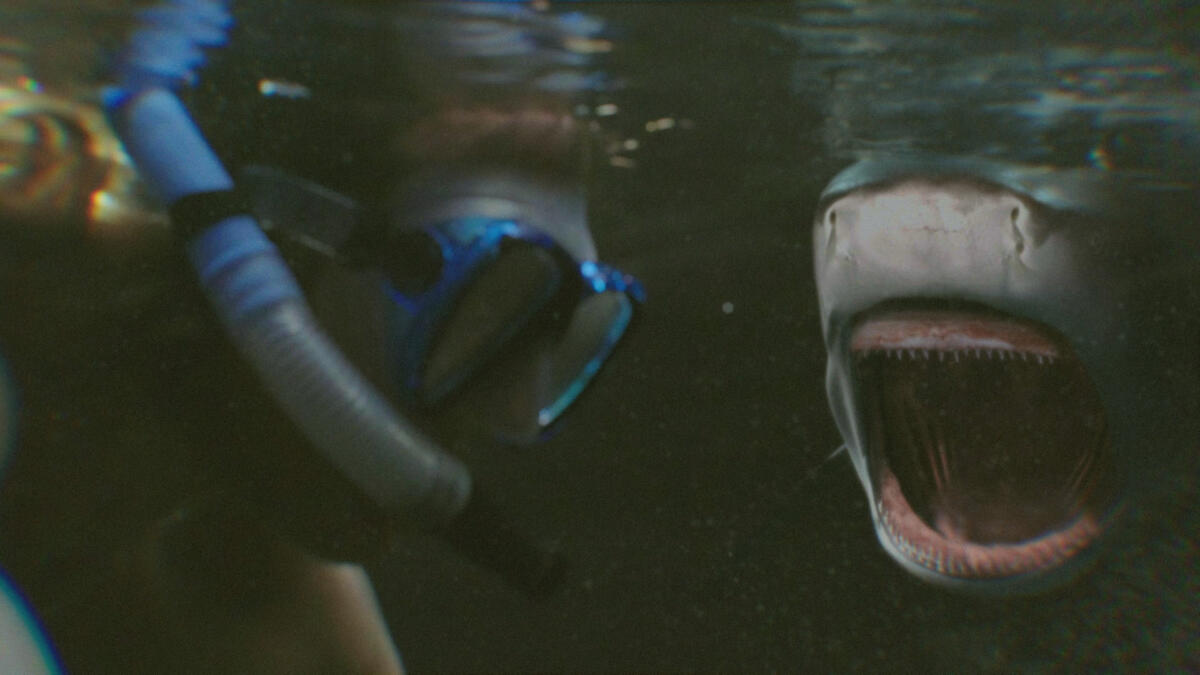 WhenSharksAttack_Ep606_BloodInTheWater_WhenSharksAttack_LR_001