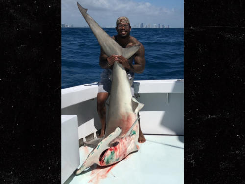 0330-von-miller-hammerhead-shark-instagram-2