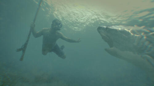 WhenSharksAttack_Ep605_TropicalTerror_WhenSharksAttack_LR_008