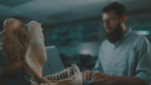 WhenSharksAttack_FourStrikeSummer_Ep601_WhenSharksAttack_LR_003
