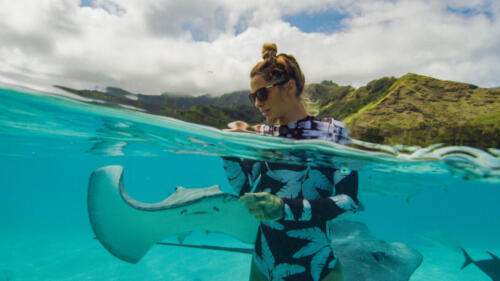 WorldsBiggestTigerShark_SharkLagoon_011