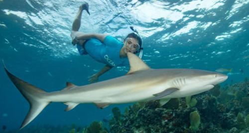 nina-dobrev-swims-with-sharks-social
